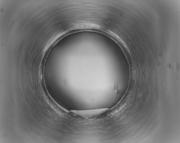 X0000069360885200606021450