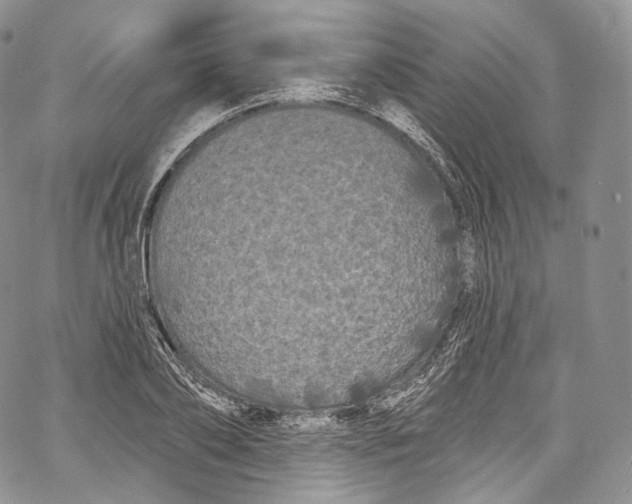 X0000069360886200606021450