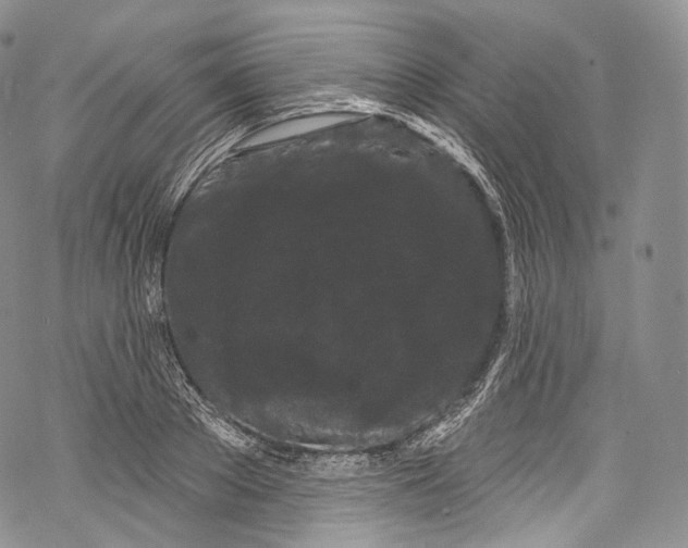 X0000069360889200606021450