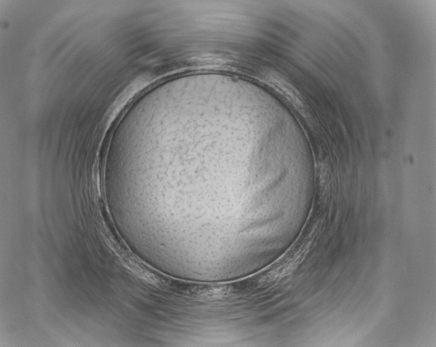 X0000069360891200606021450