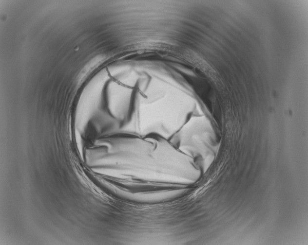 X0000069360892200606021450