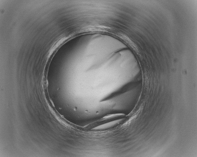 X0000069360893200606021450