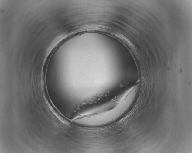 X0000069360894200606021450