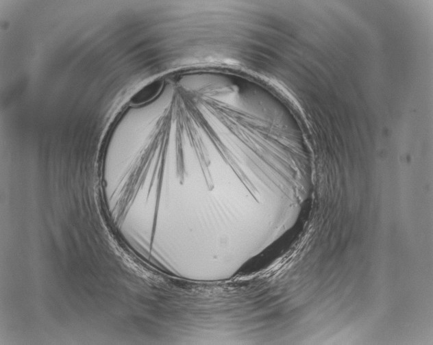 X0000069360895200606021450