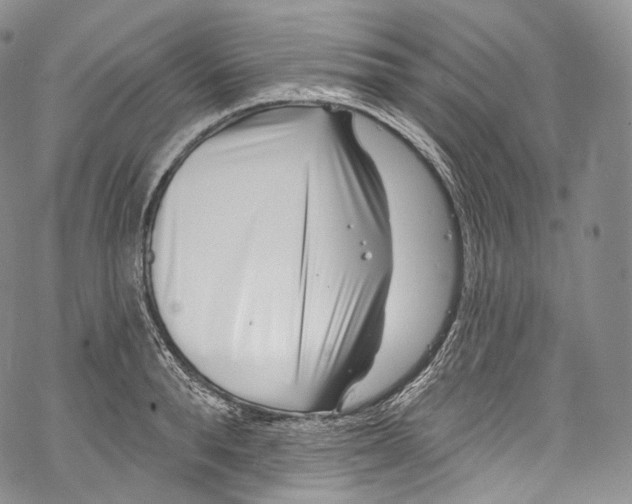 X0000069360896200606021450