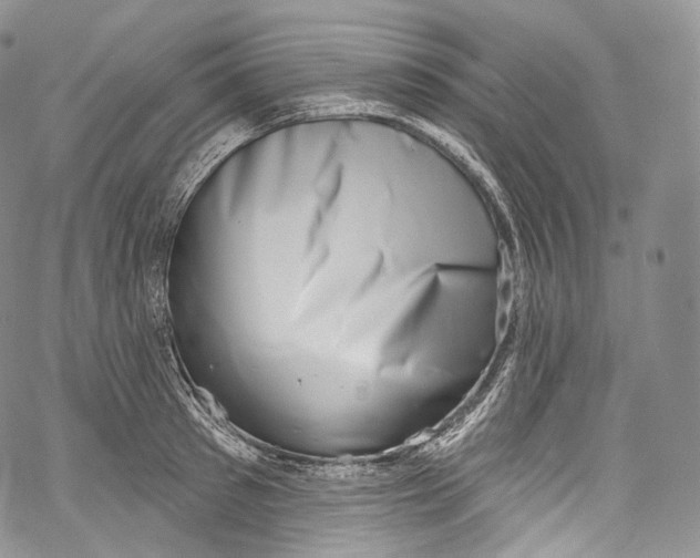 X0000069360897200606021450