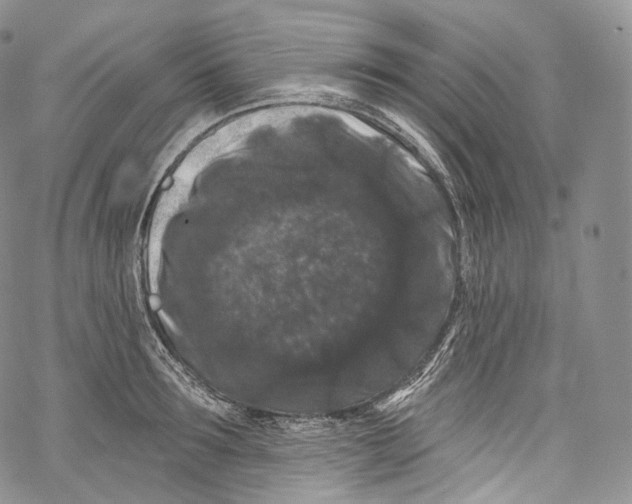 X0000069360899200606021450