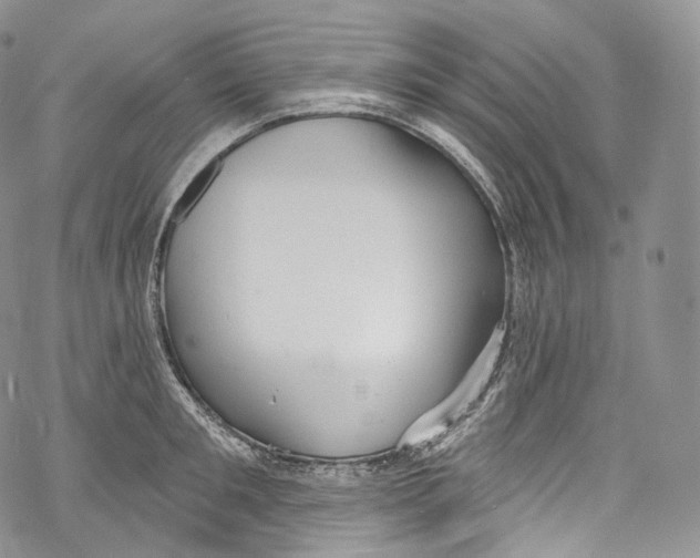 X0000069360901200606021450