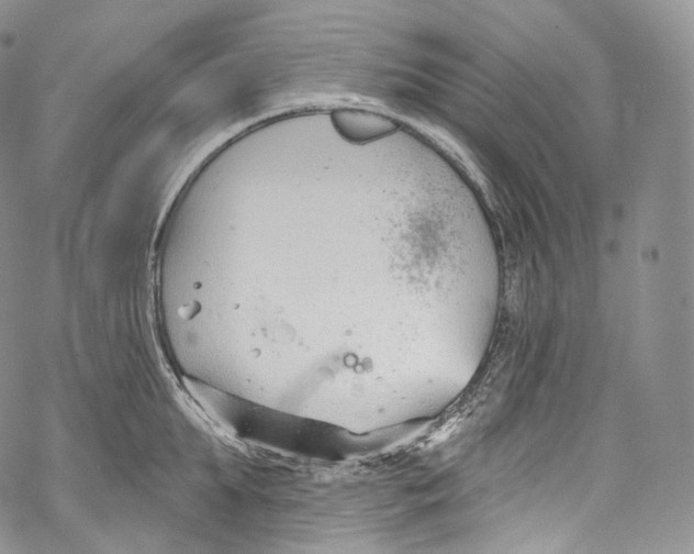 X0000069360903200606021450