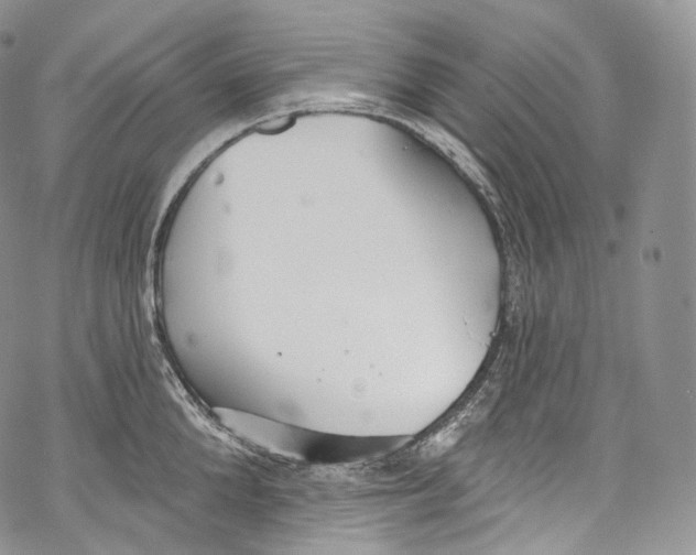 X0000069360904200606021450