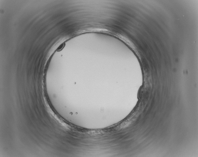 X0000069360906200606021450