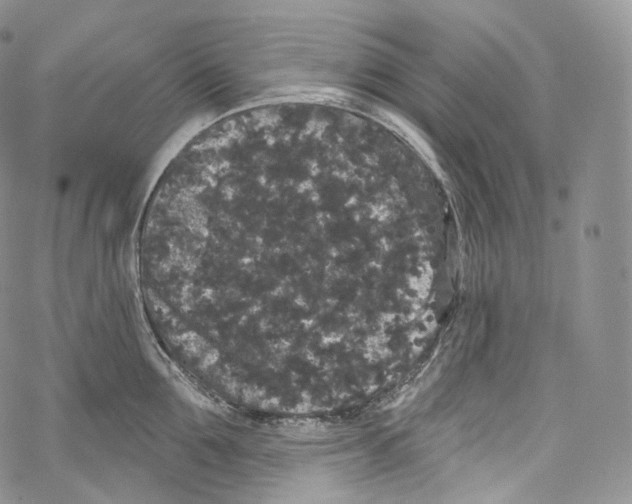 X0000069360907200606021450