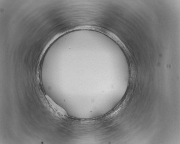 X0000069360908200606021450