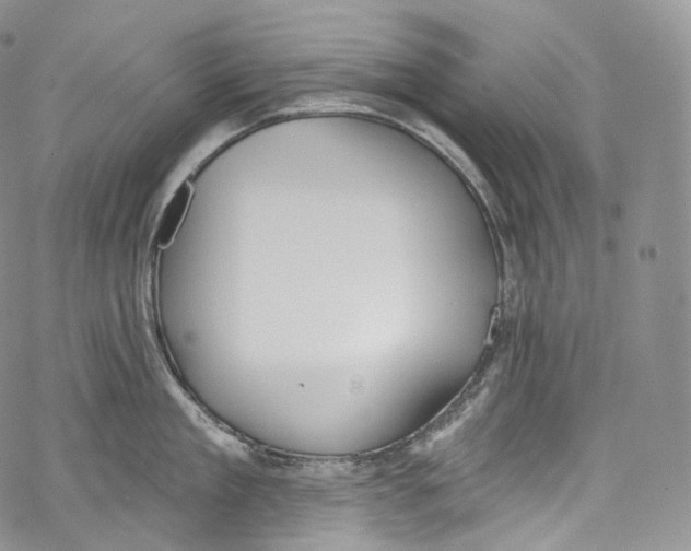 X0000069360909200606021450