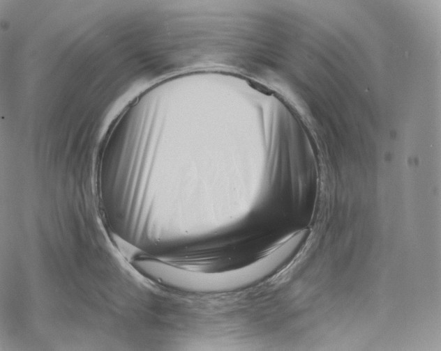 X0000069360910200606021450