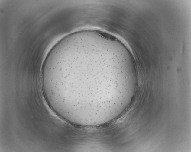 X0000069360911200606021450