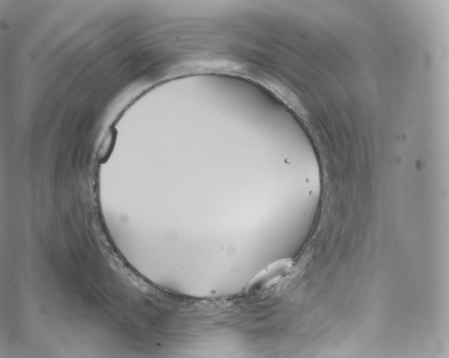 X0000069360912200606021450