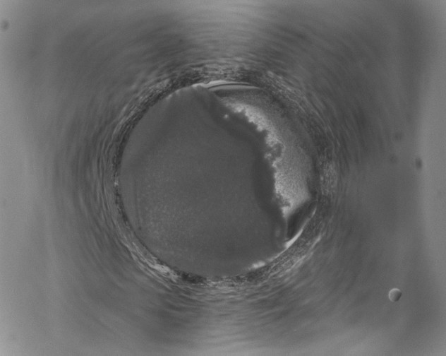 X0000069360913200606021449