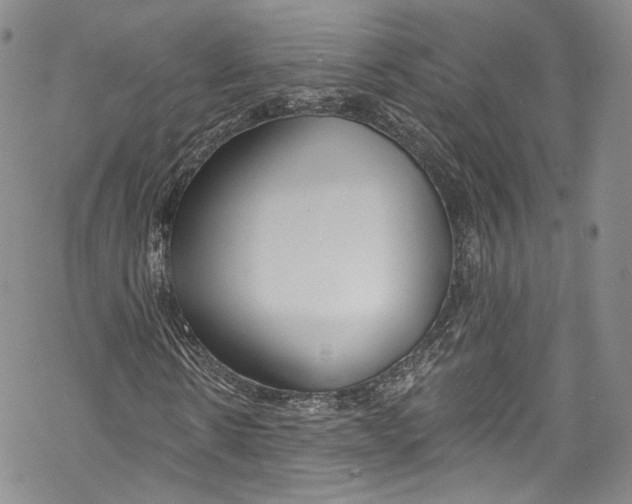 X0000069360914200606021449