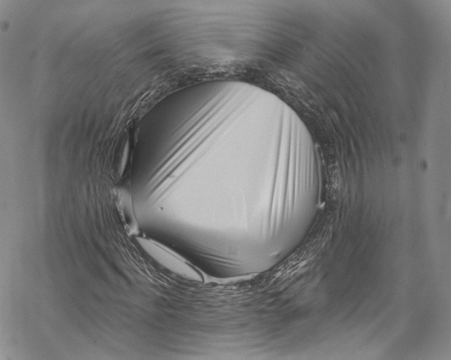 X0000069360916200606021449