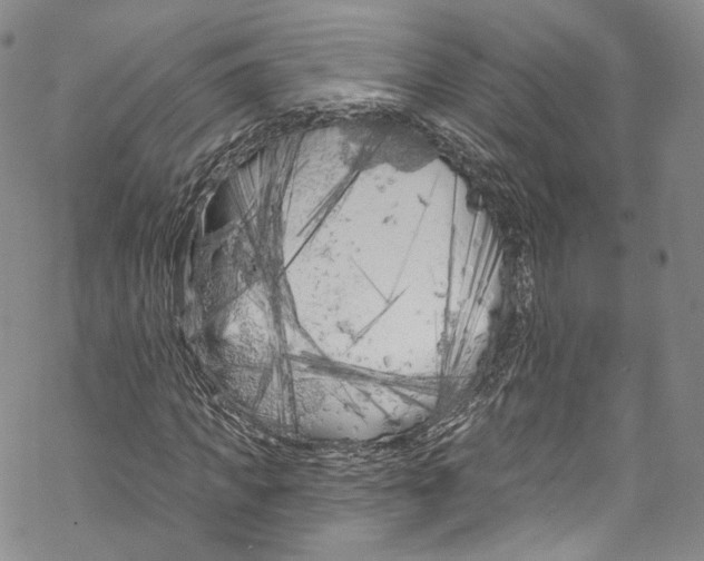 X0000069360917200606021449