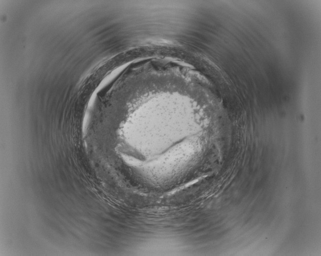 X0000069360919200606021449