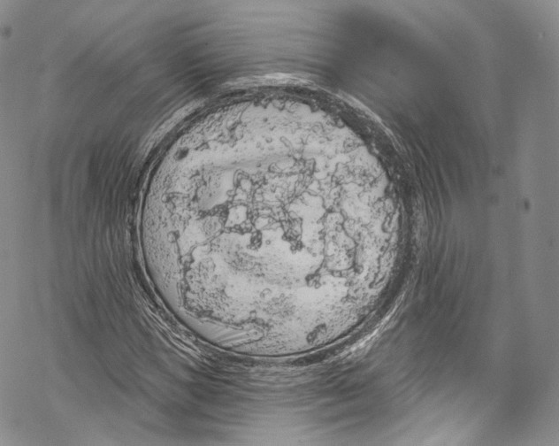 X0000069360921200606021449