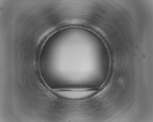 X0000069360922200606021449