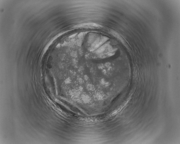 X0000069360923200606021449