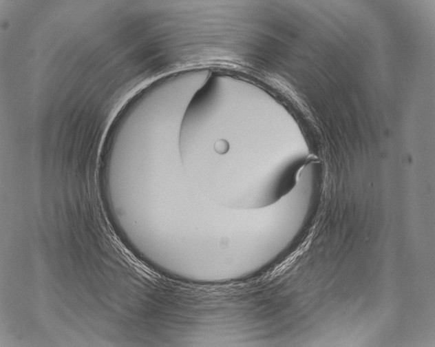 X0000069360924200606021449