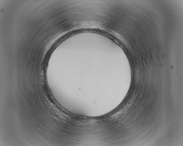 X0000069360926200606021449