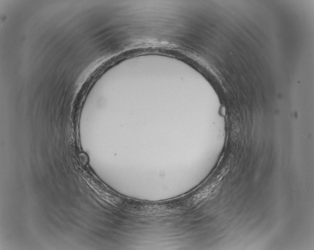 X0000069360927200606021449