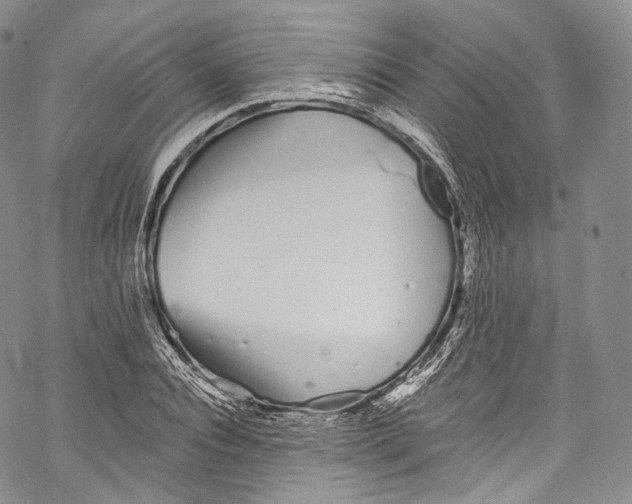 X0000069360928200606021449