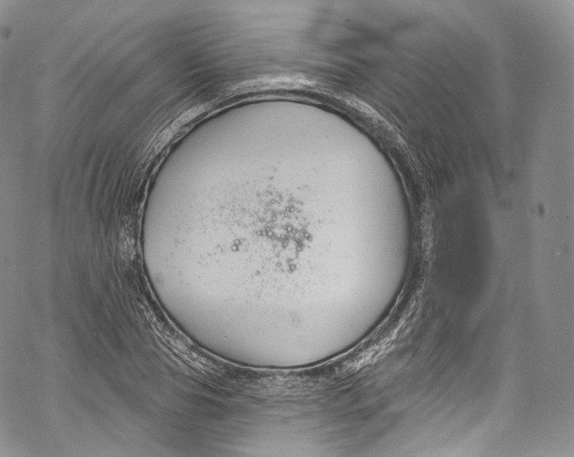 X0000069360929200606021449