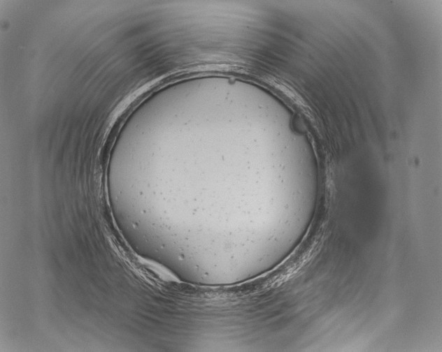 X0000069360933200606021449