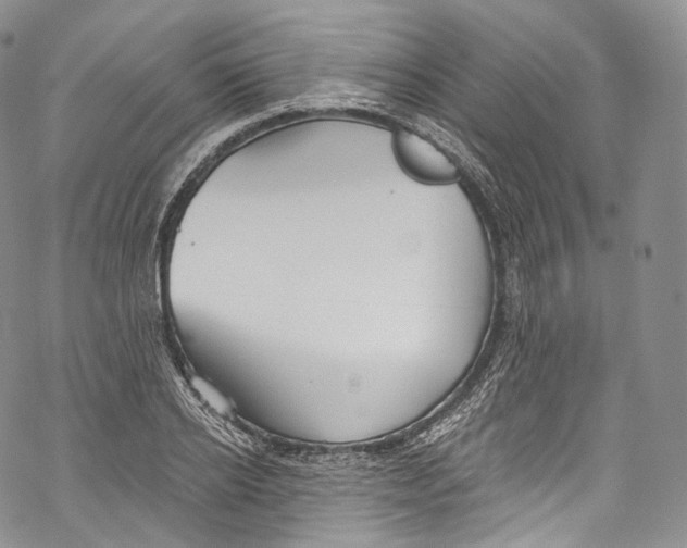 X0000069360934200606021449