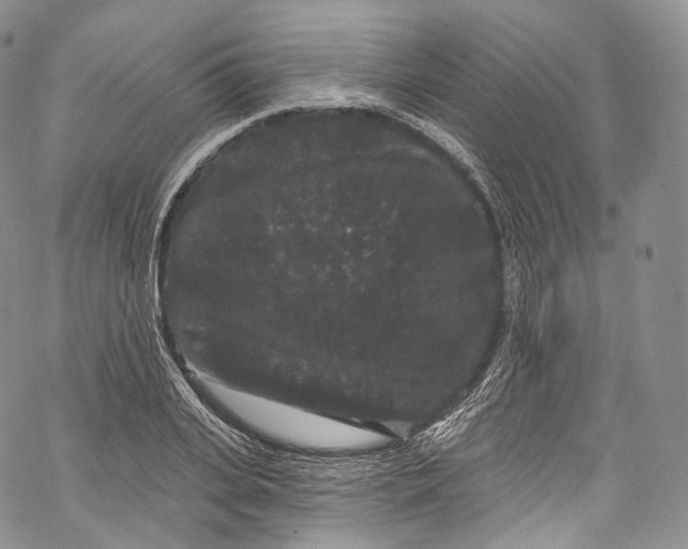 X0000069360935200606021449