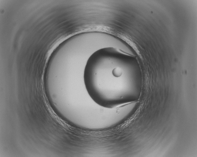 X0000069360936200606021449