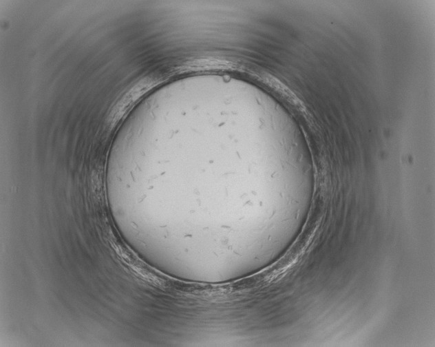 X0000069360937200606021449