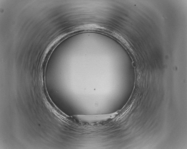 X0000069360939200606021449