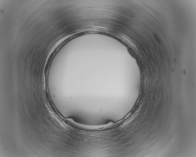 X0000069360940200606021449