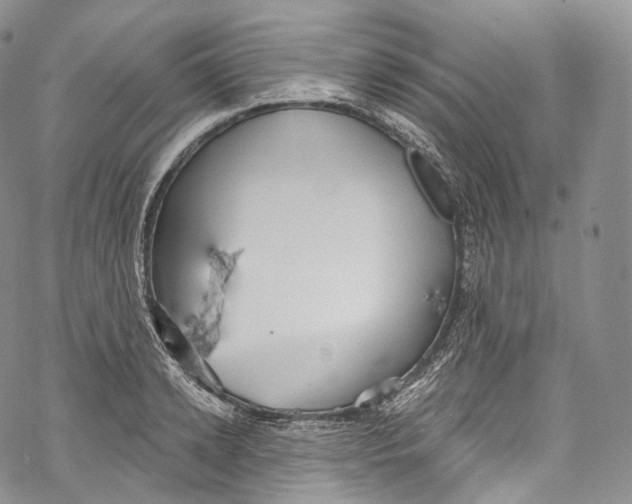 X0000069360942200606021449