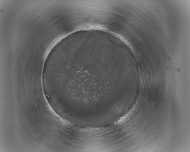 X0000069360943200606021449