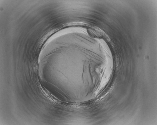 X0000069360945200606021449