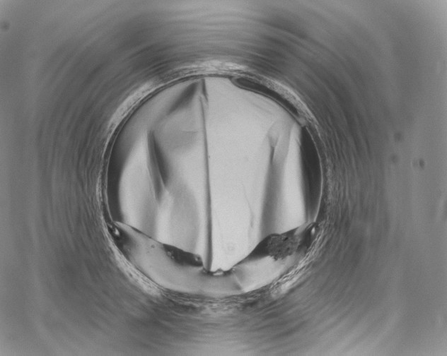 X0000069360946200606021449