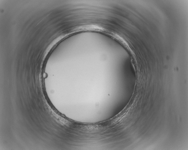 X0000069360947200606021449