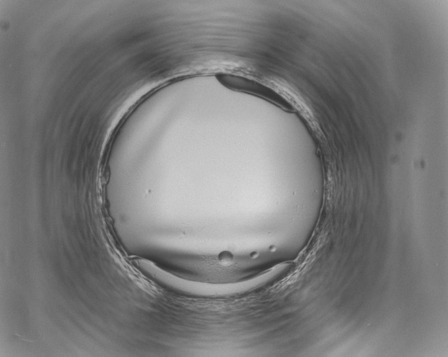 X0000069360948200606021449