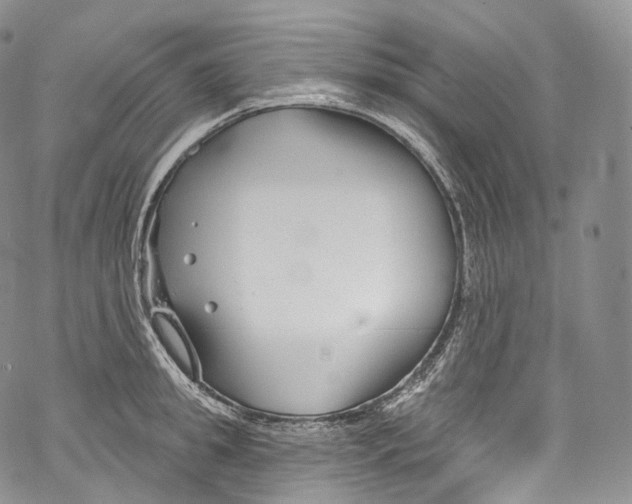 X0000069360949200606021449