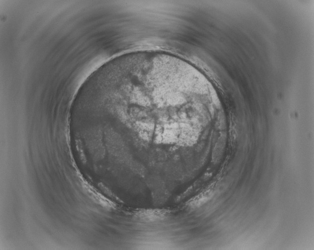 X0000069360950200606021450