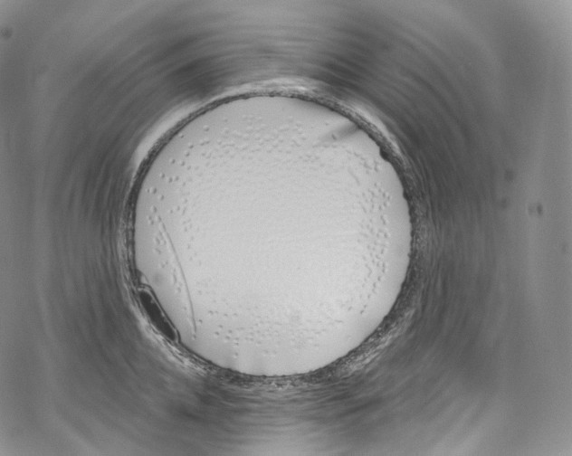 X0000069360952200606021450